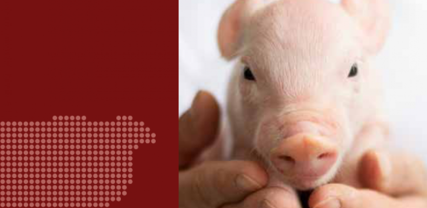 Regionálny workshop SACHO