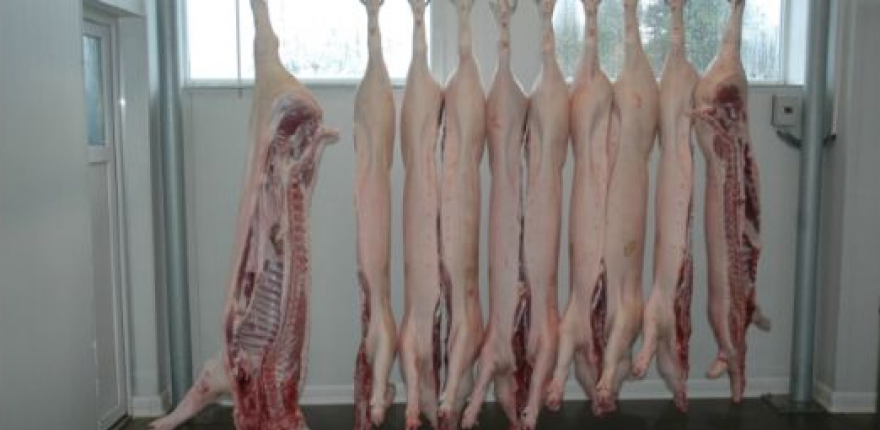 Mierny nárast vývozu bravčového mäsa z EÚ v roku 2025