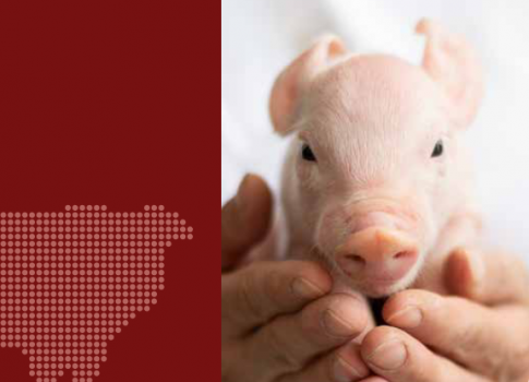 Regionálny workshop SACHO