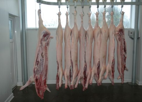 Mierny nárast vývozu bravčového mäsa z EÚ v roku 2025