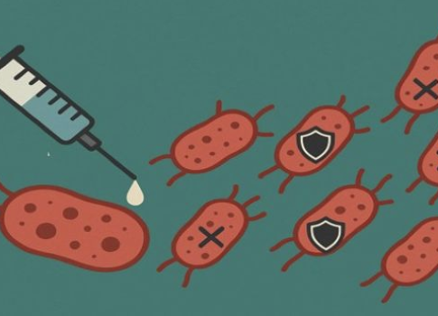 Riziká rezistencie na antibiotiká sa zvyšujú – prevencia a diagnostika sú najdôležitejšie